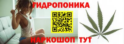 прущие грибы Северобайкальск