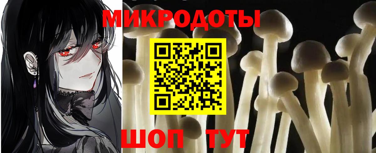 Приморско-Ахтарск  Псилоцибиновые грибы Psilocybe  Вход с VPN 